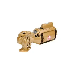 Bell & Gossett Bronze Body 2 IN. BNFI Pump 1/6 HP Single Phase